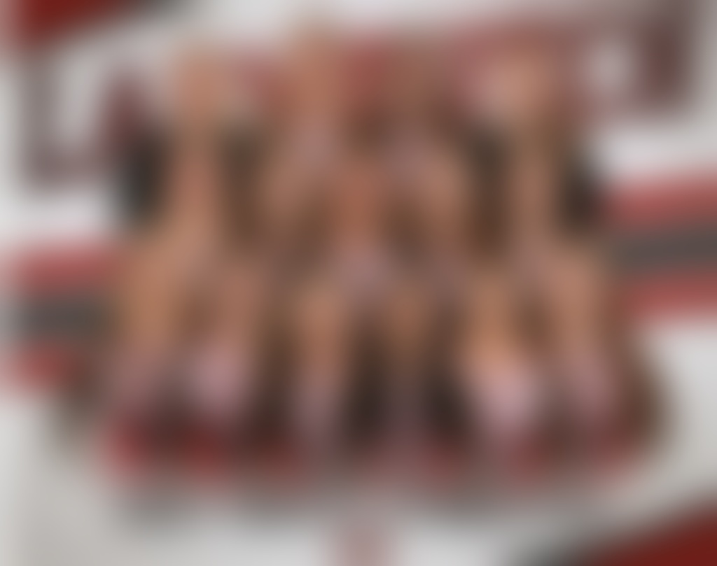 Guilderland Girls Varsity Gymnastics Team Photo